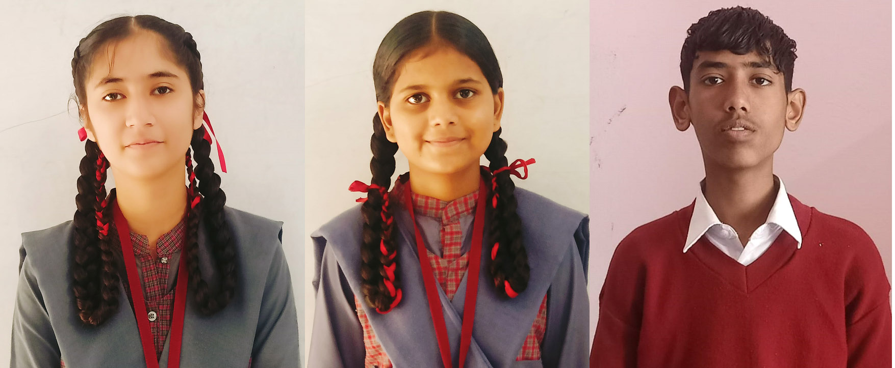 PM Shri Government Senior Secondary Smart School Birampur's tenth class result for the session 2024-25 was 100 percent